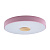 Потолочный светодиодный светильник Loft IT Axel 10003/24 pink