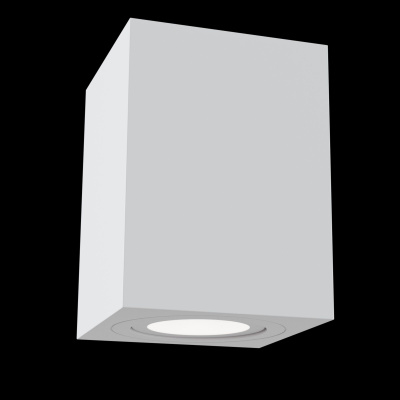 Потолочный светильник Technical C017CL-01W