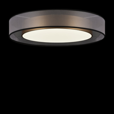 Потолочный светильник Freya FR6005CL-L48G